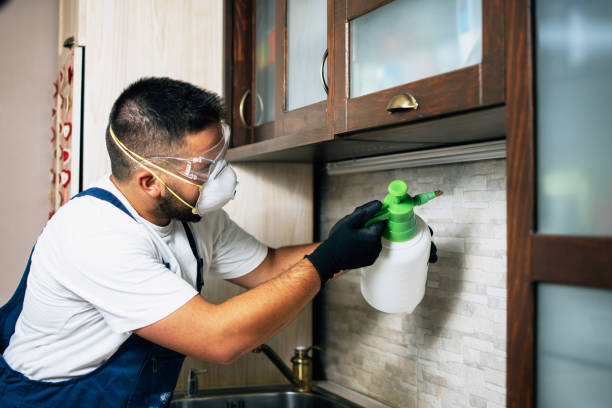 Best Pest Prevention Services  in Pemberton Heights, NJ