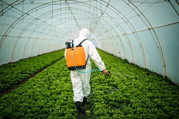 Best Emergency Pest Control  in Pemberton Heights, NJ