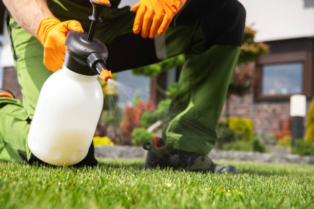 Best Termite Control Services  in Pemberton Heights, NJ