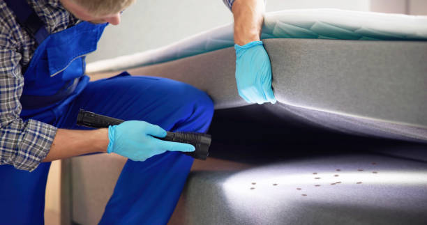 Best Local Pest Control Services  in Pemberton Heights, NJ
