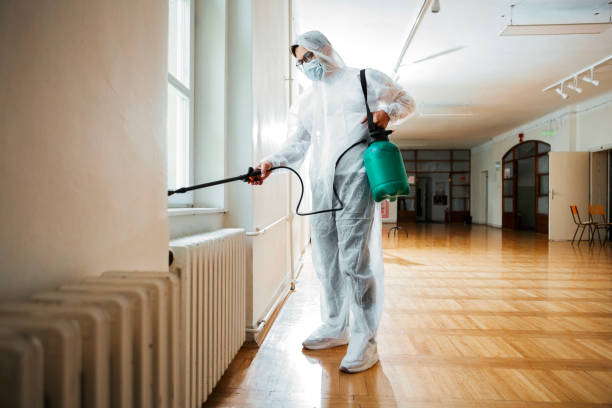 Best Flea Control Services  in Pemberton Heights, NJ