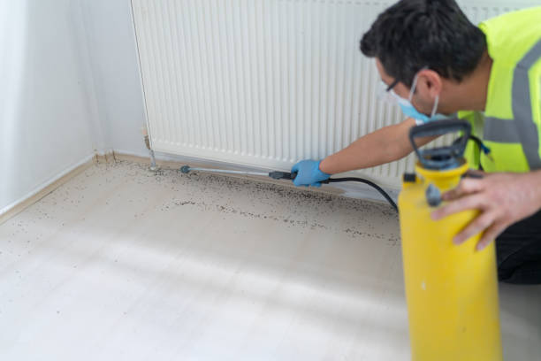 Best Commercial Pest Control Services  in Pemberton Heights, NJ