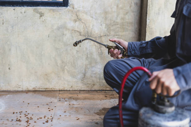 Best Mosquito Control Services  in Pemberton Heights, NJ